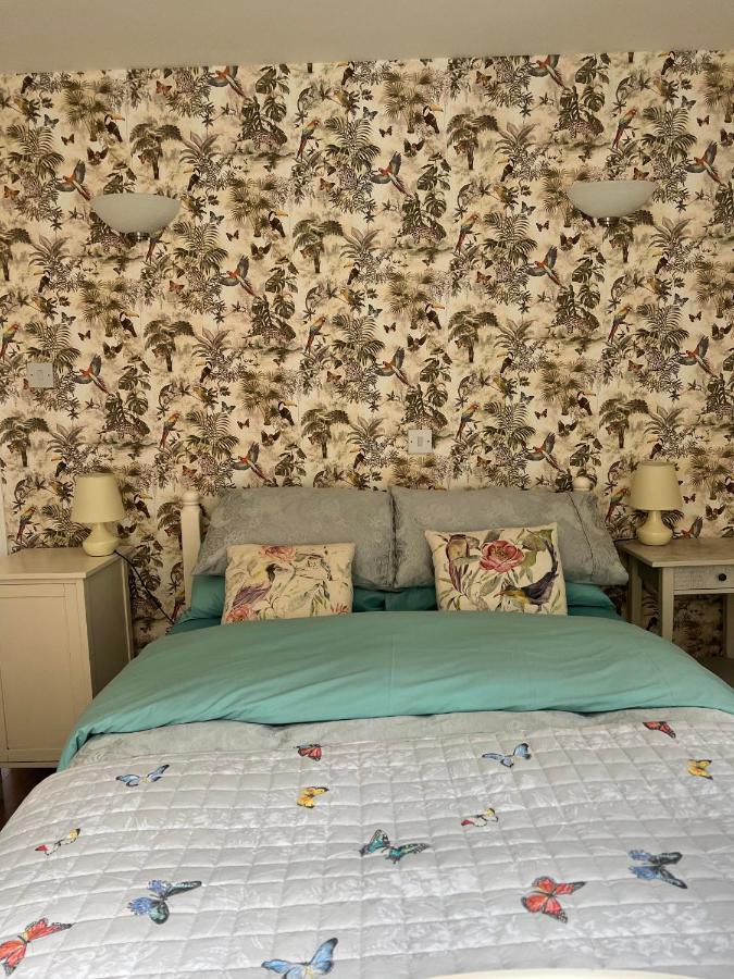Enchanted Cottage Mullaghbane エクステリア 写真