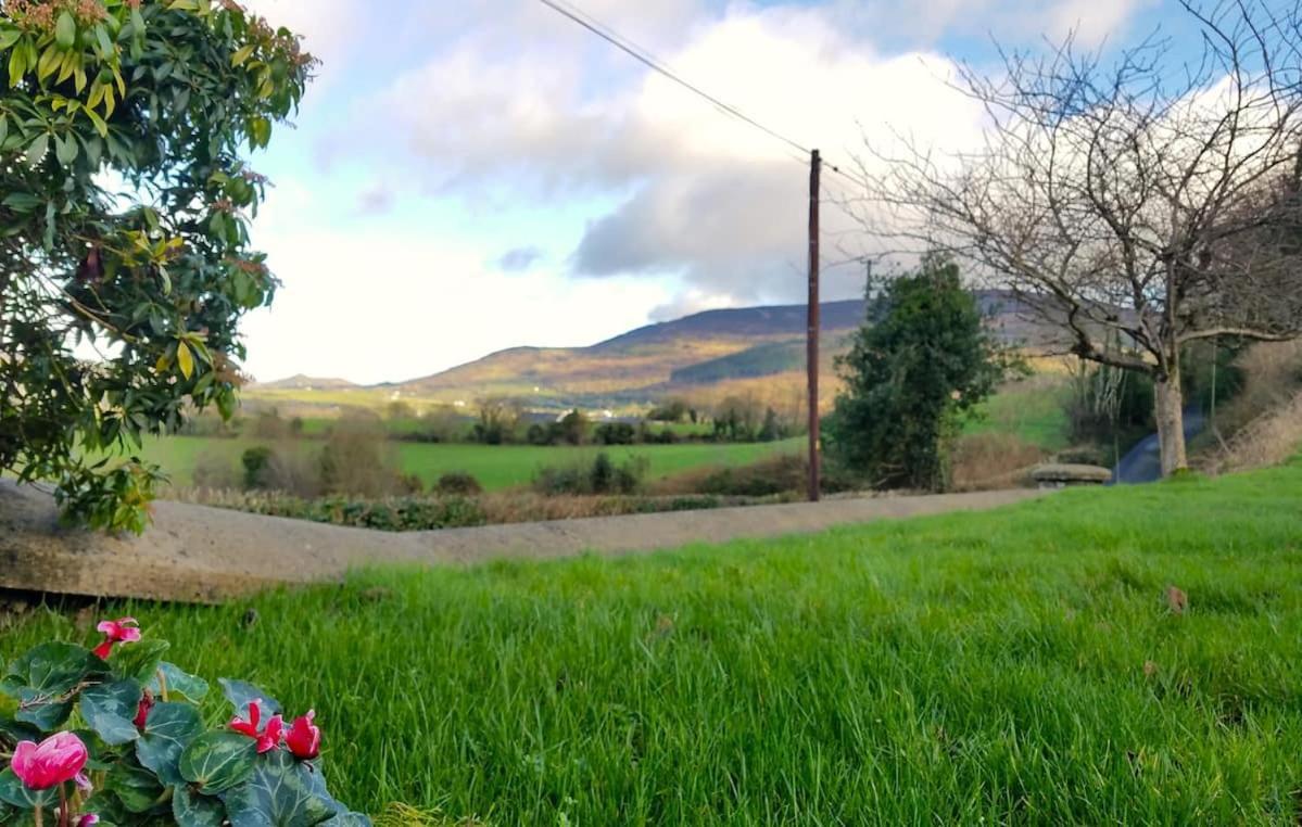 Enchanted Cottage Mullaghbane エクステリア 写真